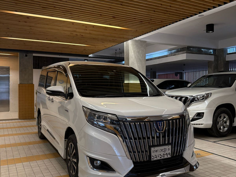 NOAH ESQUIRE Gi Premium 2018