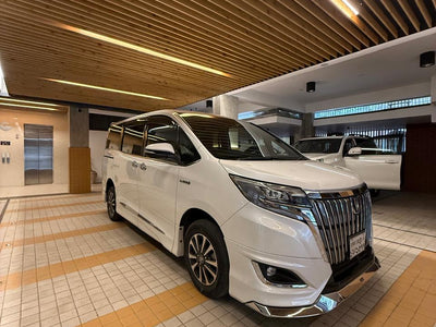 NOAH ESQUIRE Gi Premium 2018